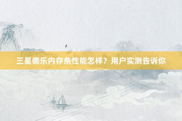 三星德乐内存条性能怎样？用户实测告诉你