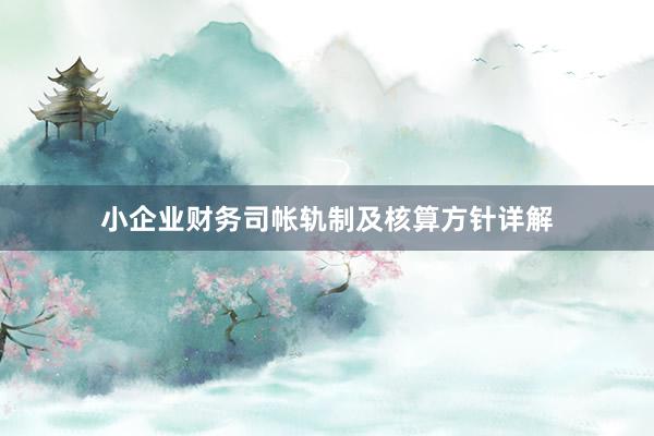 小企业财务司帐轨制及核算方针详解